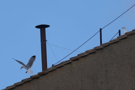 Cardinals gather in Vatican City for the papal conclave