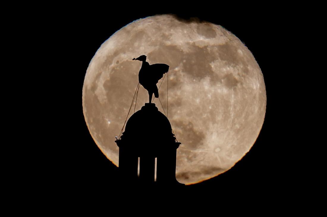 Vollmond im Mai 2025: Blumenmond über der Frühlingslandschaft