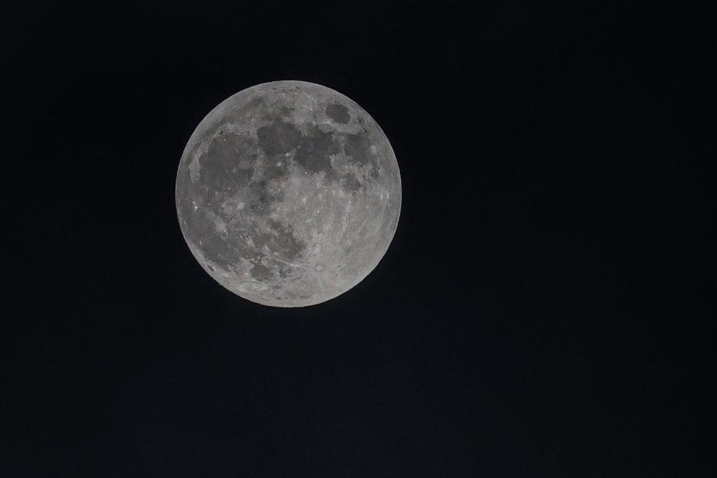 Der Blumenmond am Nachthimmel – mond heute strahlt besonders hell