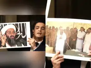 Osama bin Laden and international counterterrorism