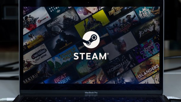 Symbolbild Steam Datenleck durch Screenshot einer Gaming-Plattform