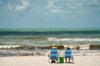 Braunalgen Ostsee: Dichte Algenteppiche treiben im Meer